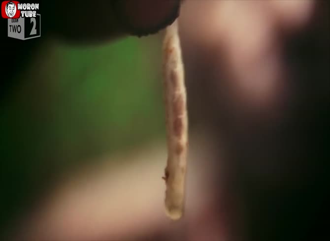 Video :Cleaning the ear canal with palm larvae
